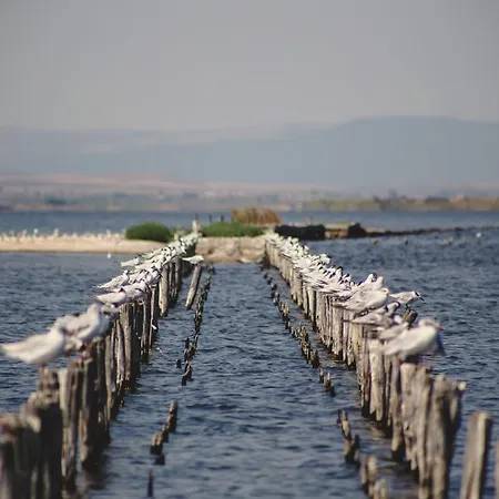 Pomorie Sea&history