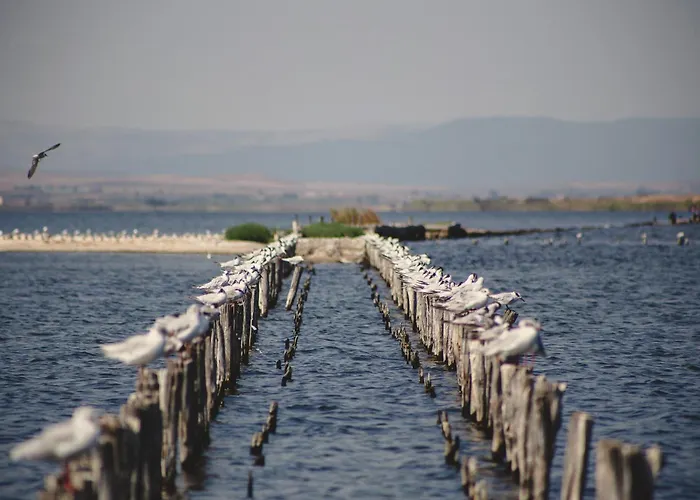 Sea&history